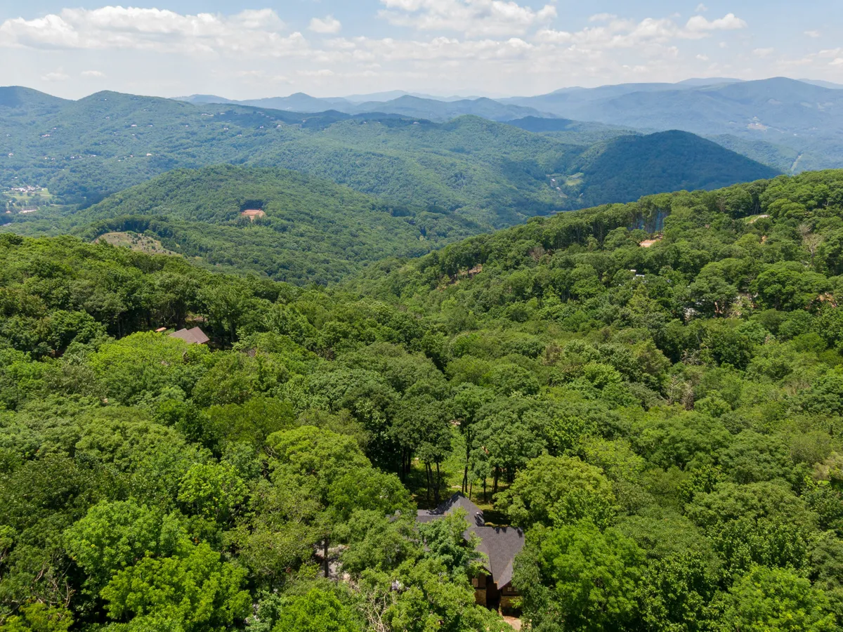 A breathtaking view of lush green trees and distant mountains beneath a blue sky, representing the natural setting surrounding Timber Forge Lodge. Ideal for hiking, birdwatching, and taking in the landscape.