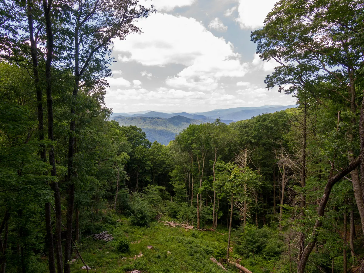 This image presents a wide view of distant mountains framed by lush green trees and a dramatic sky. The expansive landscape evokes a sense of adventure and tranquility, reminding viewers of the scenic surroundings and the property’s immersive setting in nature.